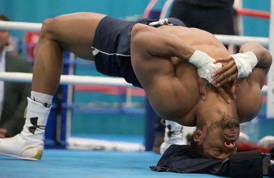 https, 他的脖子肌, 及的尺寸 https, 他的脖子肌, 及的尺寸