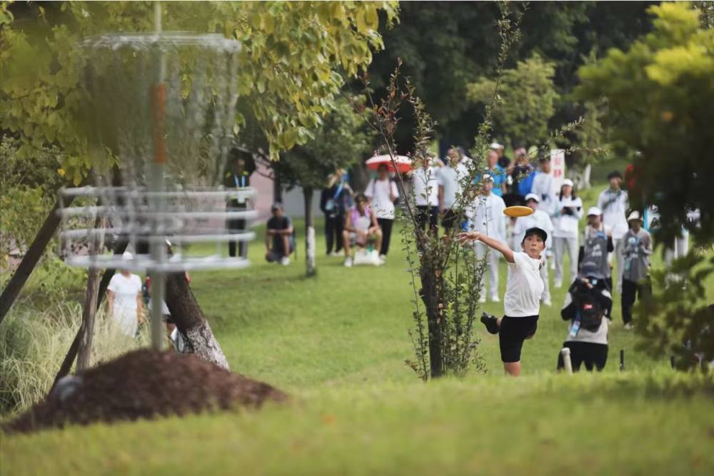 斗智, 竞赛主任薛, 的舞台